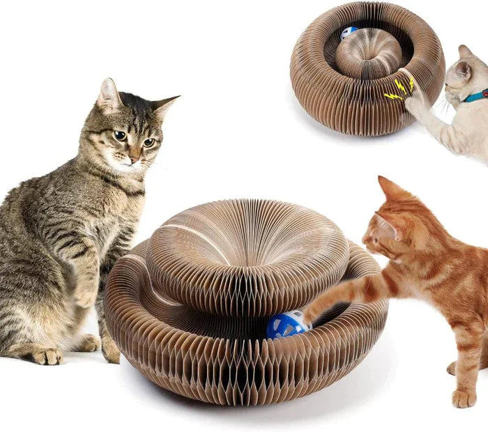 Brinquedo Para Gatos I Arranhador mágico +1 Bolinha De Brinde